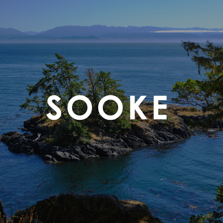 RE/MAX Camosun Victoria Real Estate and Homes for Sale